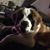 Rodney Duhaime's profile image