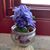 Joane Eckel McCarthy's profile image