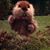 Paul LaChance's profile image