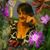 Bren Hopkins Wager's profile image
