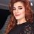 Elif Sarıkaya's profile image