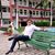 Shubham Kolapkar's profile image