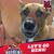 Willie Peters-surdasky's profile image