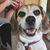 Barb Groff Ridley's profile image