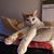 Joyce Vargo's profile image