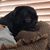 Steve Ponzio's profile image