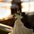 Melissa Duncan's profile image