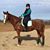Katie Flay's profile image
