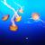 Tina Arends's profile image