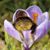 Marianne McAllister's profile image