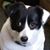 Valerie Walker's profile image
