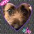 Cindy Kluender Strawderman's profile image