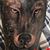 Dominic Socci's profile image