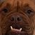 Jackie Elliott Hill's profile image