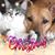 Cassie Di Dio's profile image