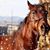 Jennifer Drake-Crawford's profile image