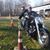 Jennifer DiSilvio's profile image