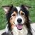 Meghan Collins Phimister's profile image