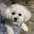 Luciene Brunetti's profile image