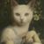 Elsa Bella's profile image