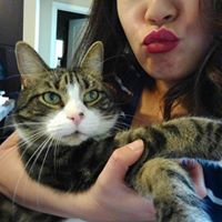 Karen Kay's profile image