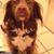 Carole Wright's profile image