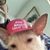 Bill Parish's profile image
