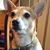 Debbie McClune's profile image
