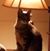Debra Green Dean's profile image