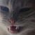 Carmen Perez Jr.'s profile image