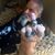 Ken Rosenbaum's profile image