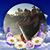 Glenn Joni Sperry's profile image