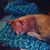 Lola Turner's profile image