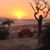 Jayne Melfi Bryant's profile image