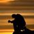 Eric J Herrholz's profile image