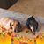 Sally Maranowski's profile image