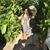 Nisa Latsachack's profile image