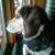 Deb Cole Weiser's profile image