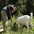 Tyler Stolt's profile image
