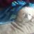Angie Ewing's profile image
