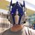 Dao Tung's profile image