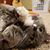 Amanda Marie Patrick's profile image
