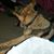 Greg D'Arezzo's profile image