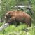 Philippe J Bougard's profile image