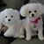 Sandra Freese's profile image