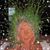 Donald Ray Dukes's profile image