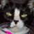 Brenda Ross's profile image