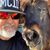 Amy'nPat Tiseth's profile image