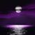 Shelly Gerlach Desmarais's profile image
