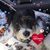 Sandra Starkey's profile image